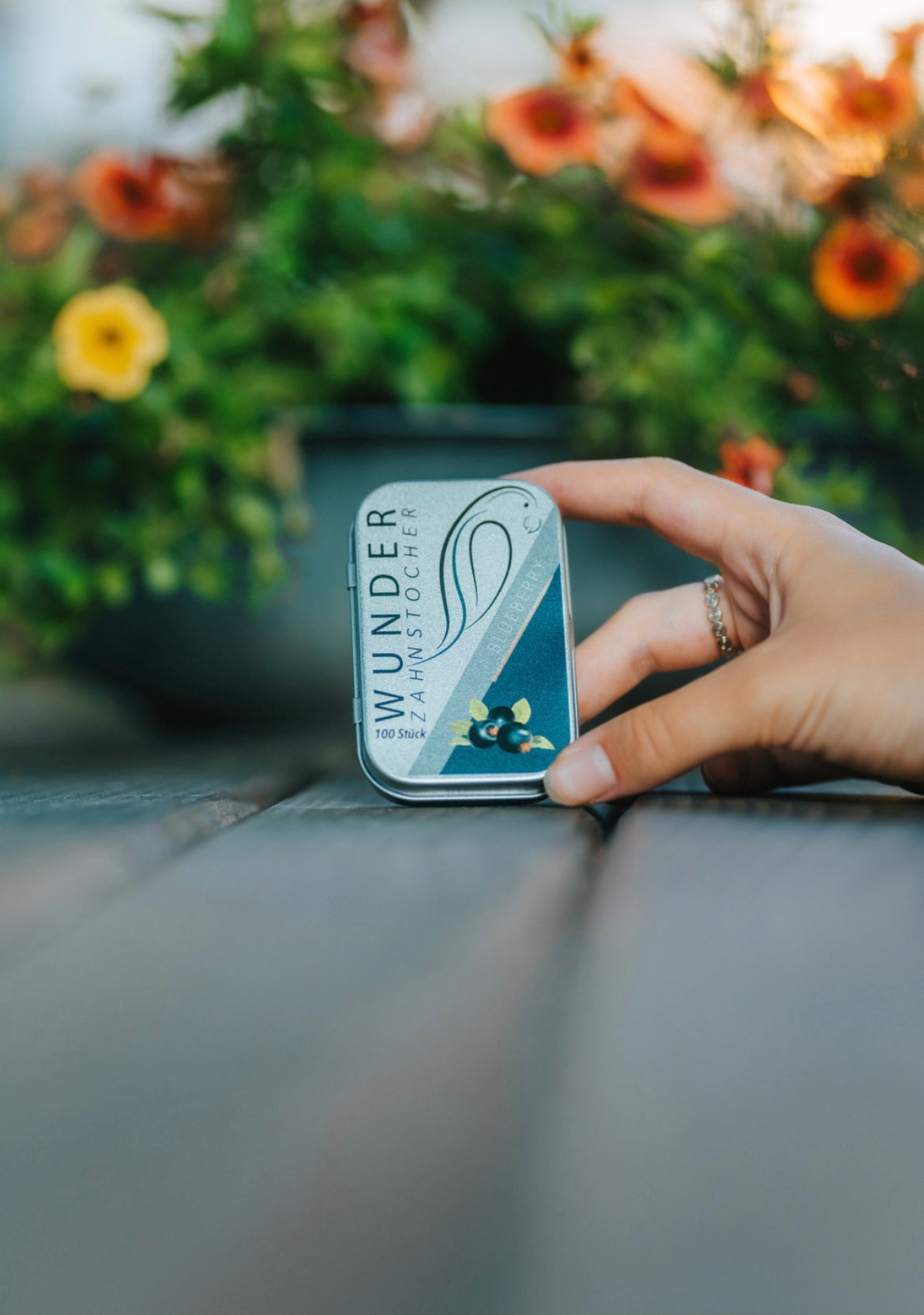 Die Wunder Zahnstocher Mission