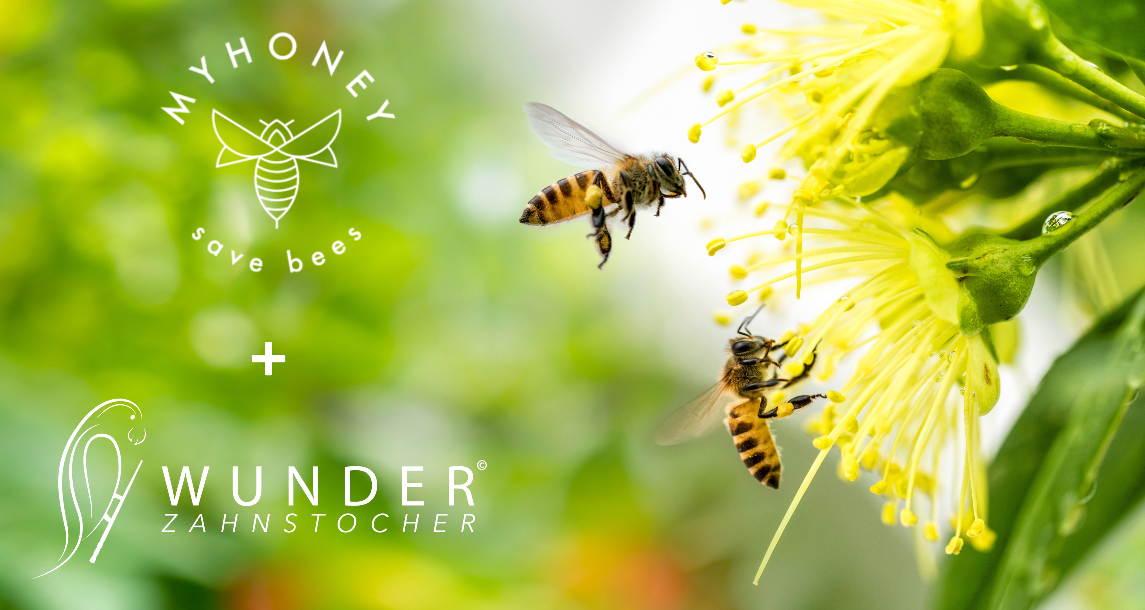MYHONEY Bienenpatenschaft - we are live!