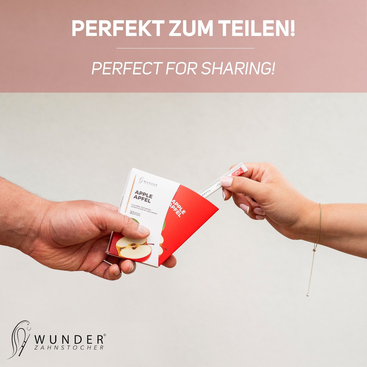 Die NEWCOMER von Wunder