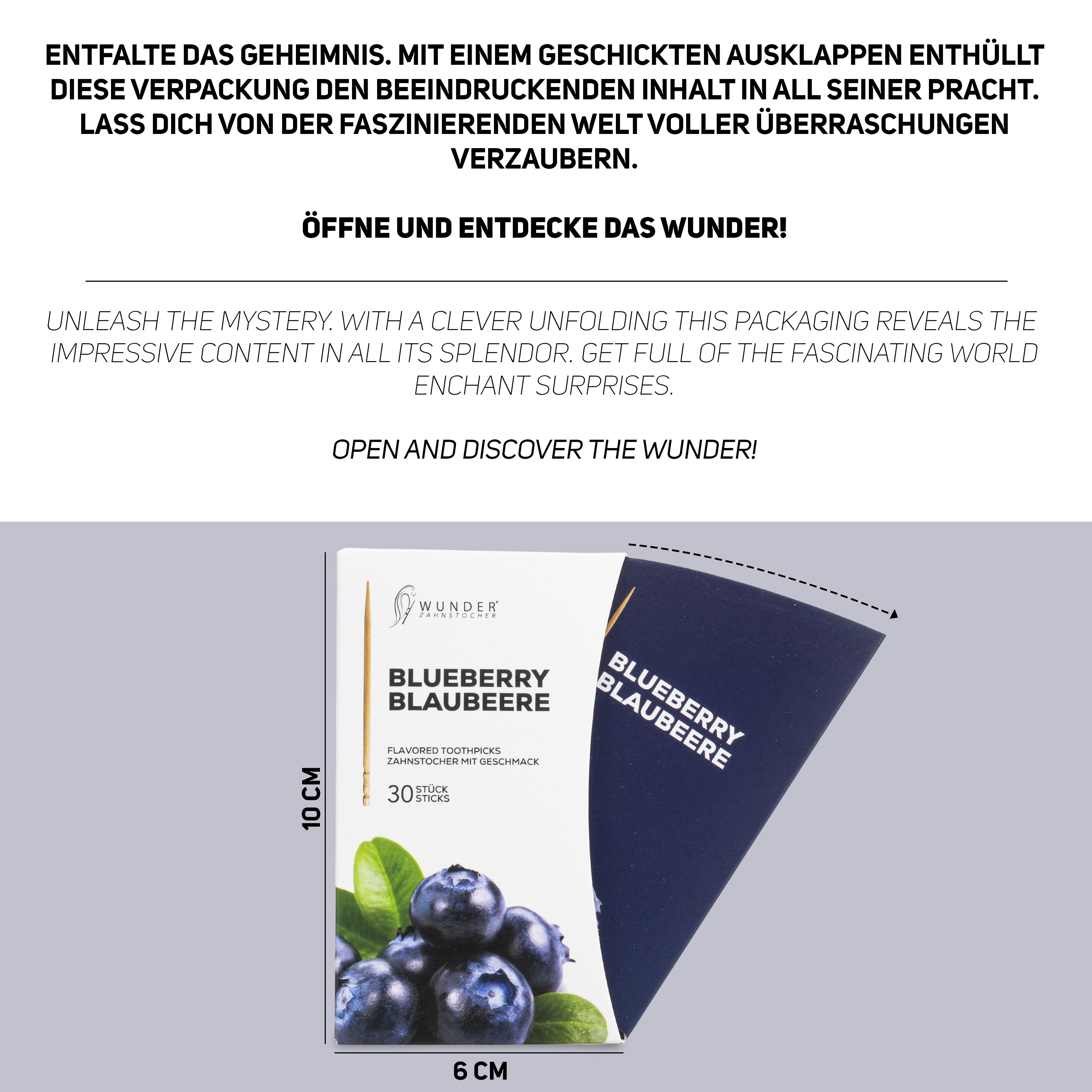SINGLE PACK (30x) - BLUEBERRY / BLAUBEERE - ZAHNSTOCHER MIT GESCHMACK