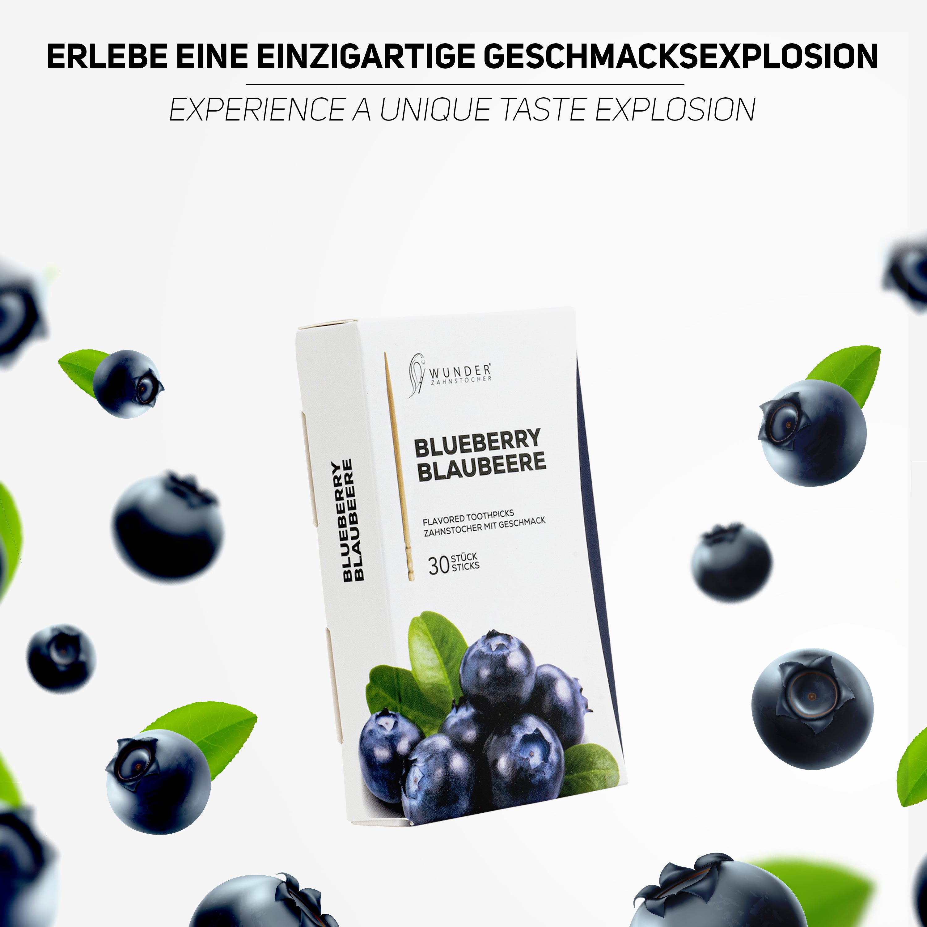 SINGLE PACK (30x) - BLUEBERRY / BLAUBEERE - ZAHNSTOCHER MIT GESCHMACK