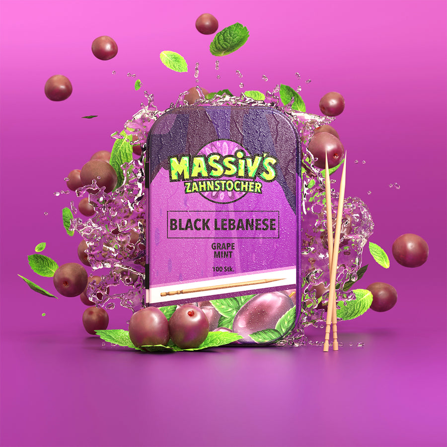 Massiv's Zahnstocher Metalldose
