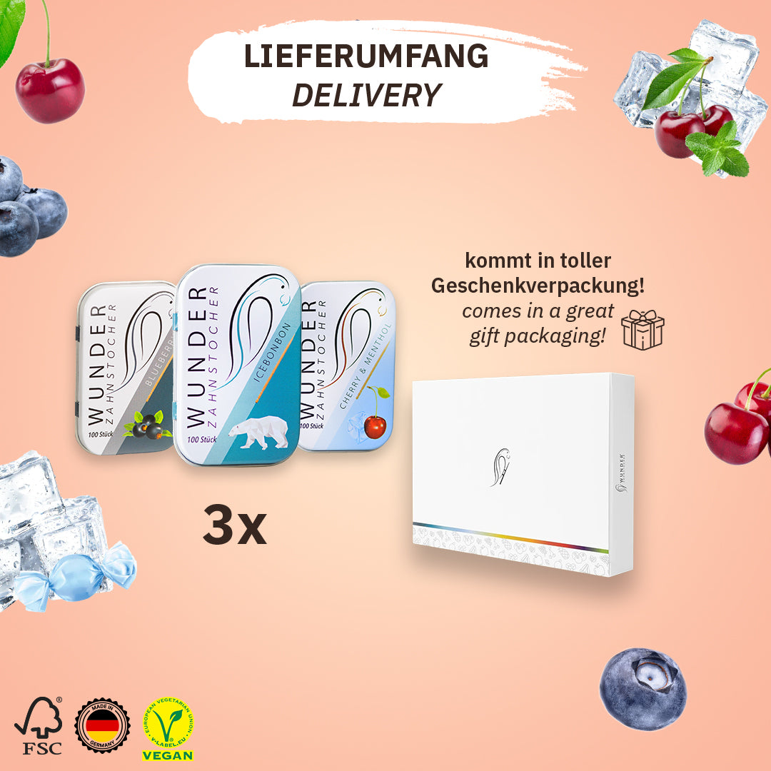 FRESH PACK - ZAHNSTOCHER MIT GESCHMACK