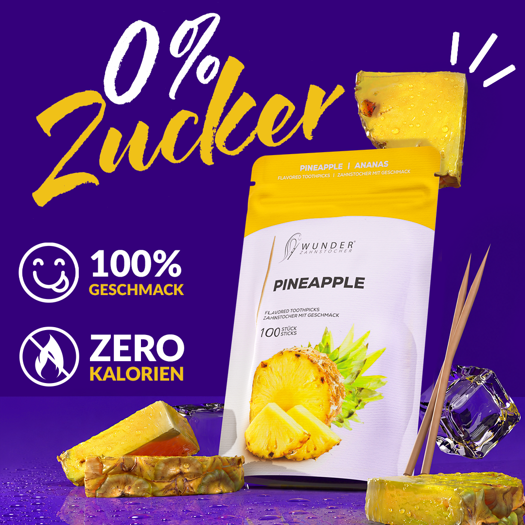 Wunder Zahnstocher Spender + Refill Pack – 100 Stück