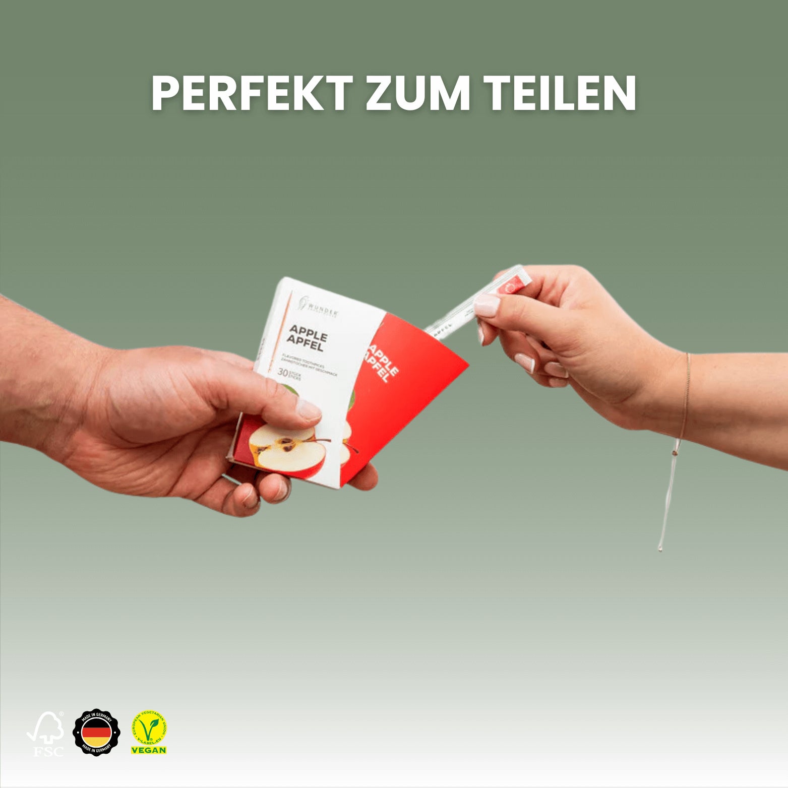 Wunder Zahnstocher - Single Pack 30x