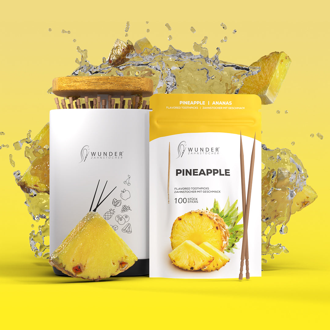 WUNDER ZAHNSTOCHER SPENDER + 1x REFILL PACK