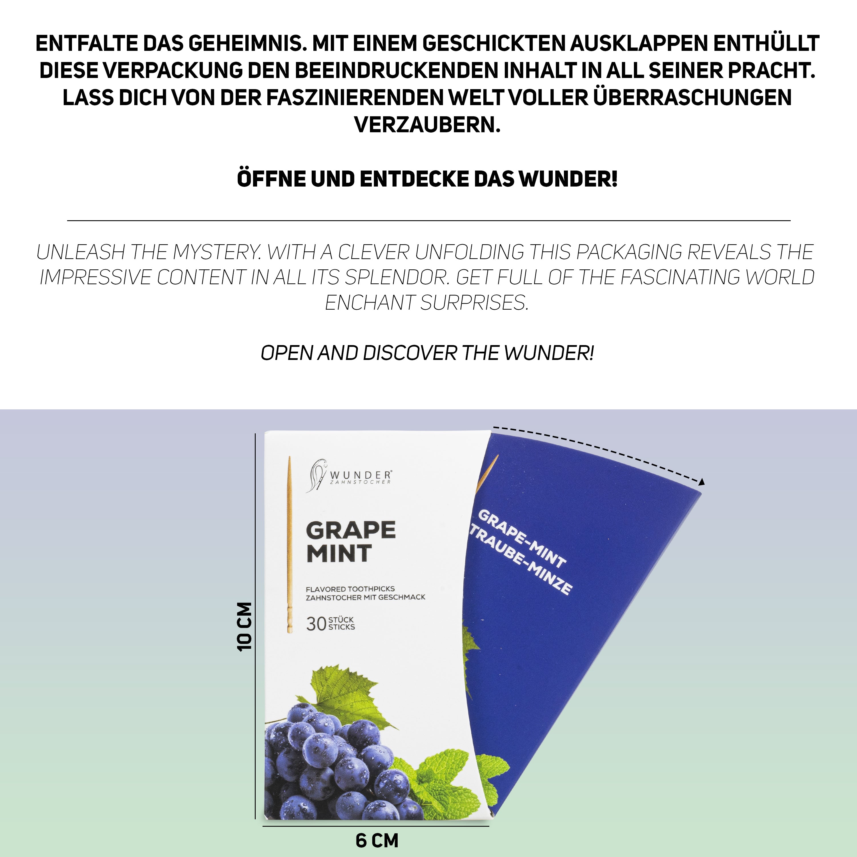 SINGLE PACK (30x) - GRAPE-MINT / TRAUBE-MINZE - ZAHNSTOCHER MIT GESCHMACK