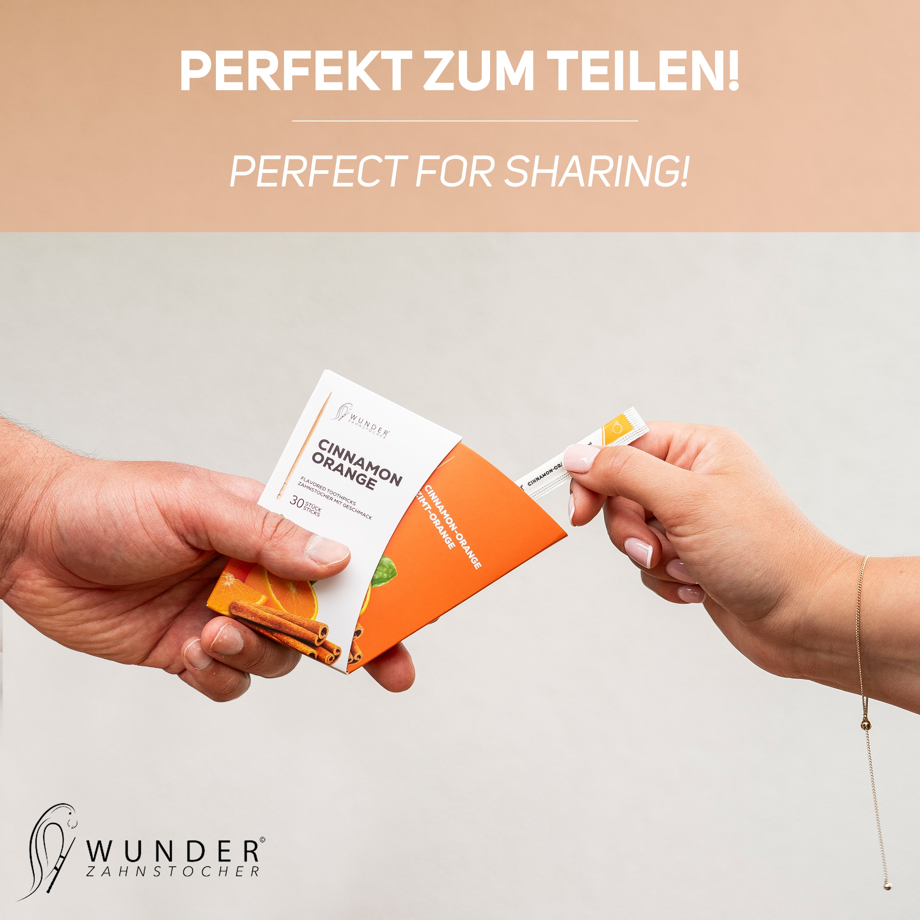 SINGLE PACK (30x) - CINNAMON-ORANGE / ZIMT-ORANGE - ZAHNSTOCHER MIT GESCHMACK