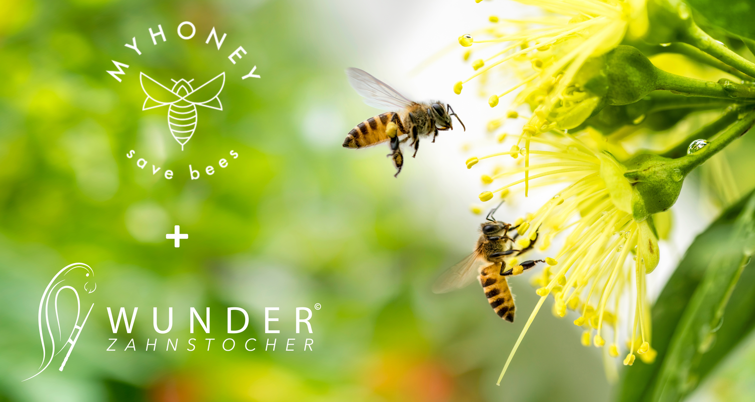 MYHONEY Bienenpatenschaft - we are live!