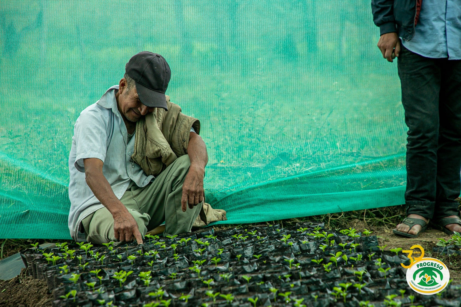 🌳 Gemeinsam für eine grünere Zukunft: Unsere Kooperation mit Impact Hero startet am 15. Januar 2025! 🌳