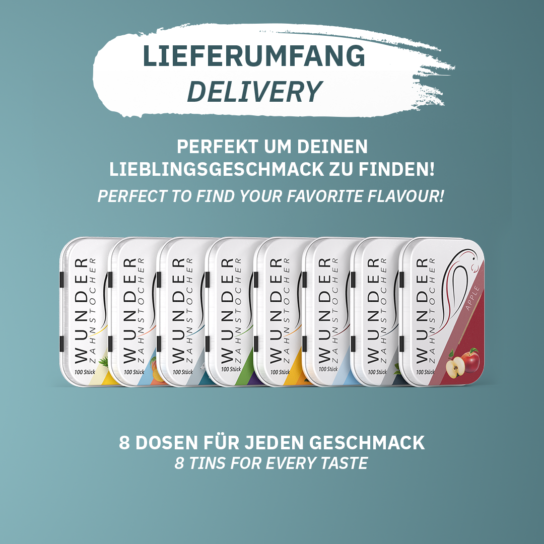 Wunder Zahnstocher All-in one Box