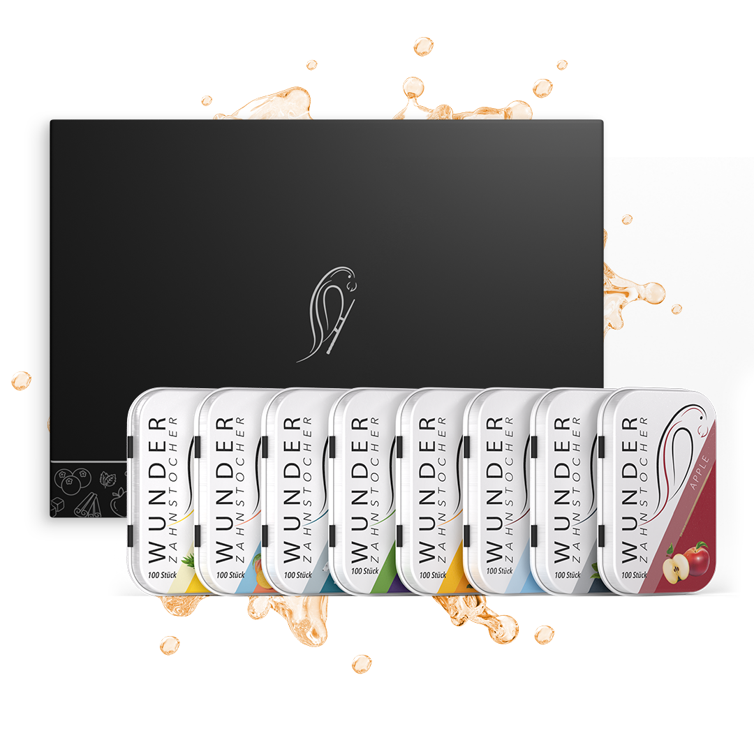Wunder Zahnstocher All-in one Box
