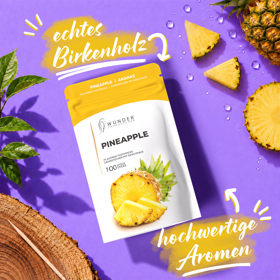Wunder Zahnstocher Spender + Refill Pack – 100 Stück