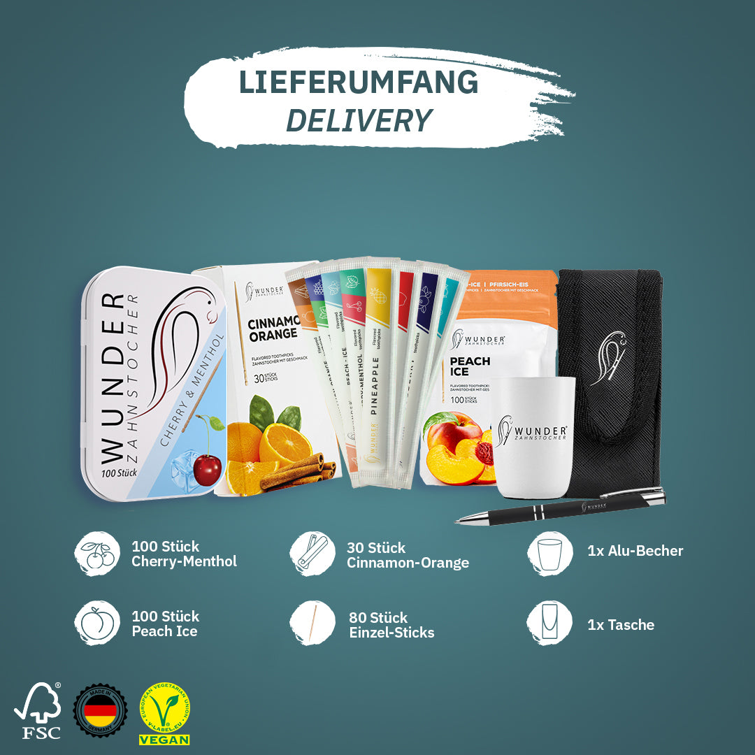 Wunder Zahnstocher All-in one Box