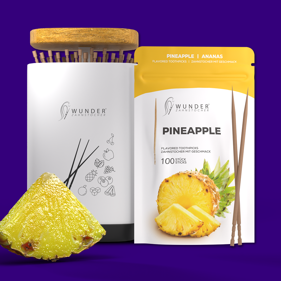 Wunder Zahnstocher Spender + Refill Pack – 100 Stück